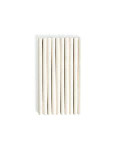245398 Fisher & Paykel BBQ Outdoor Grill Ceramic Rods (PKT-10)