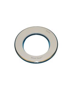 555899 Asko Washer Door Assembly