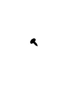 301133 Bertazzoni/La Germania Oven Screw 4.2 x 13mm